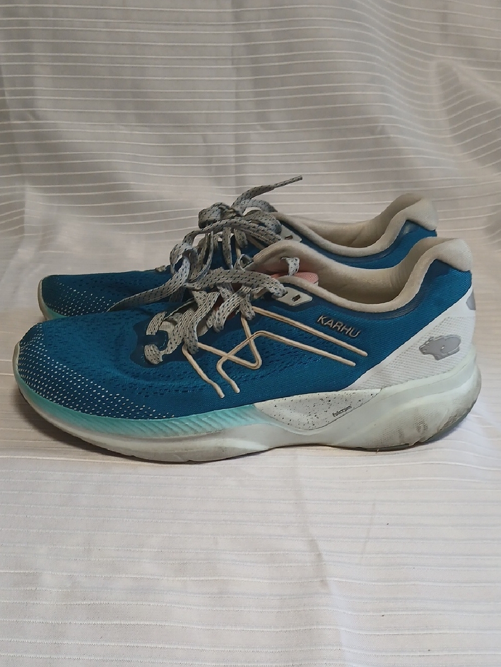 Karhu Men’s Blue Running Shoes